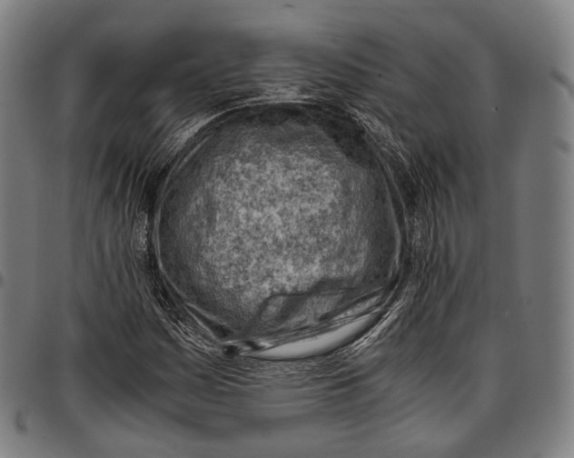 X0000096961161200802291114