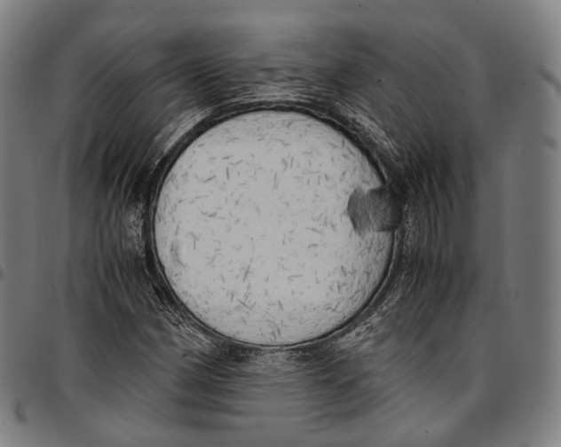 X0000096961162200802291114