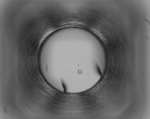 X0000096961164200802291114