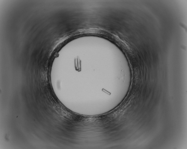 X0000096961166200802291114