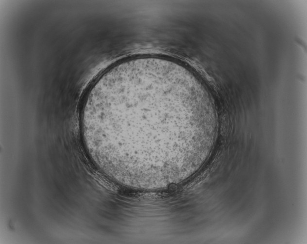 X0000096961167200802291114