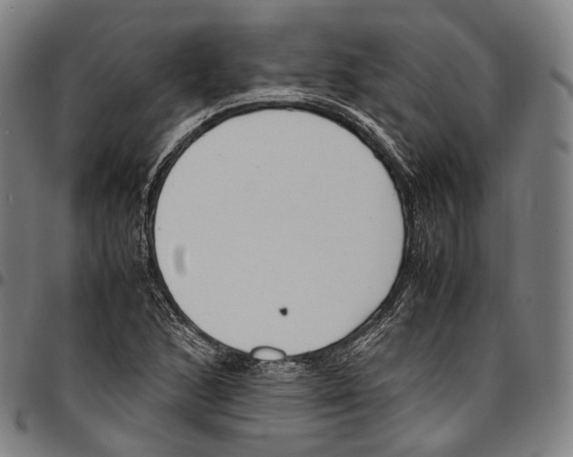 X0000096961168200802291114