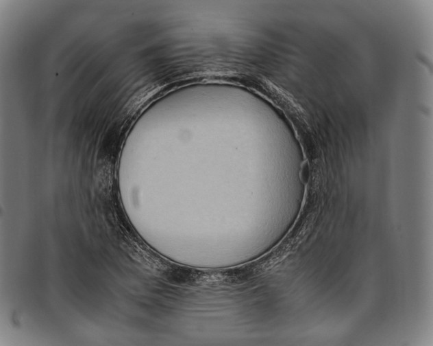 X0000096961169200802291114