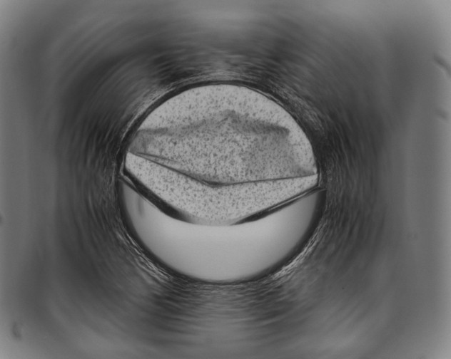 X0000096961170200802291114