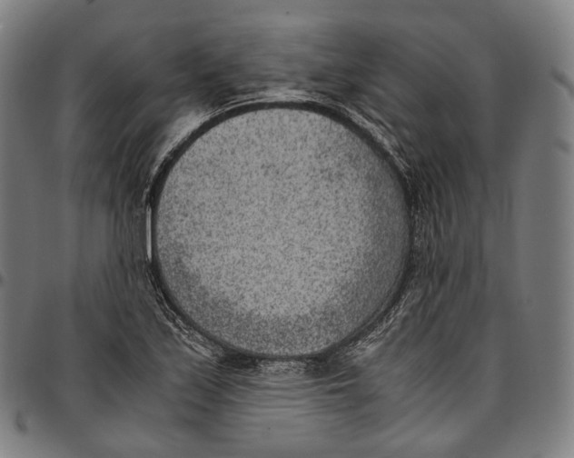 X0000096961171200802291114