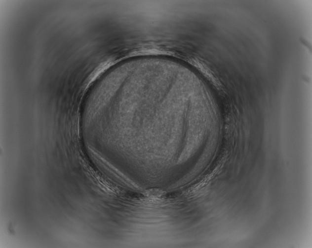 X0000096961173200802291114