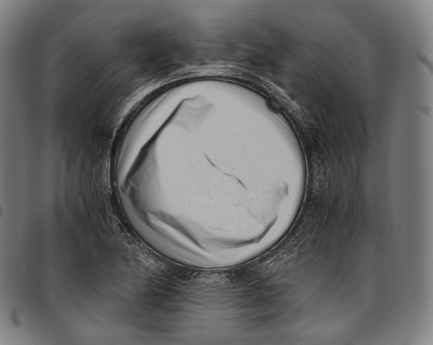 X0000096961174200802291114