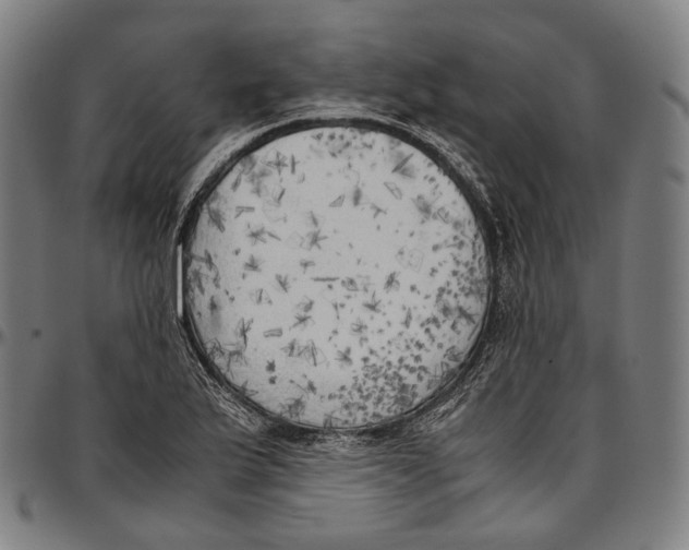 X0000096961175200802291114