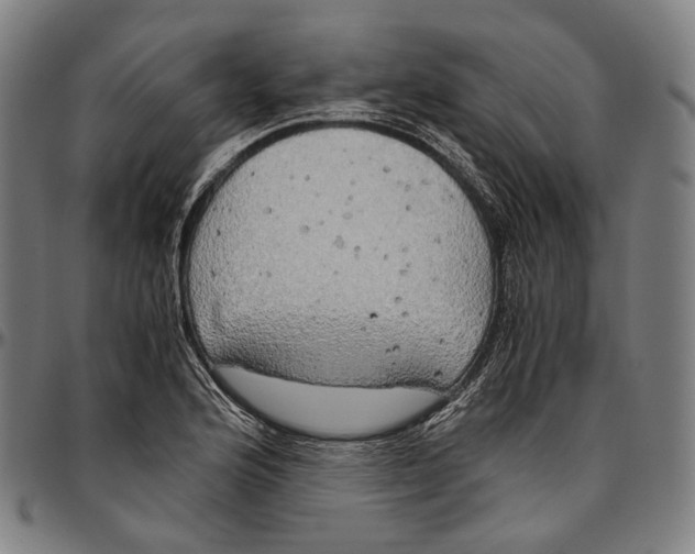 X0000096961176200802291114