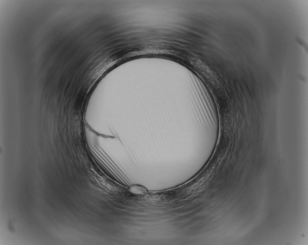 X0000096961177200802291114