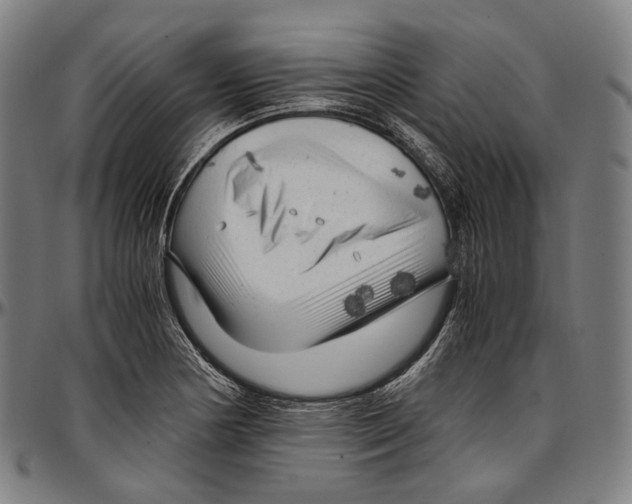 X0000096961178200802291114