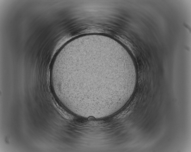 X0000096961179200802291114