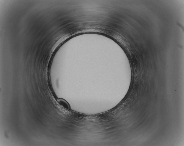 X0000096961181200802291114