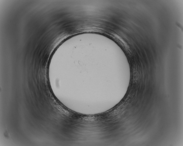 X0000096961182200802291114