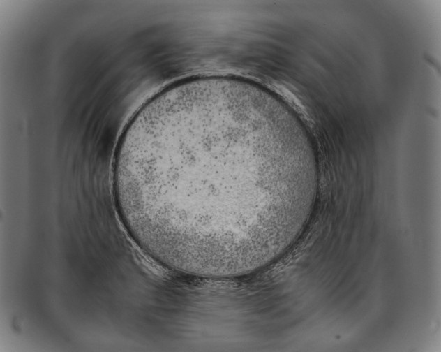 X0000096961183200802291114