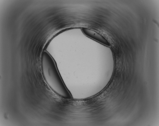 X0000096961184200802291114