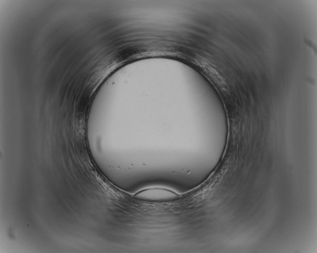 X0000096961185200802291114