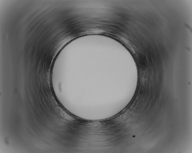 X0000096961186200802291113