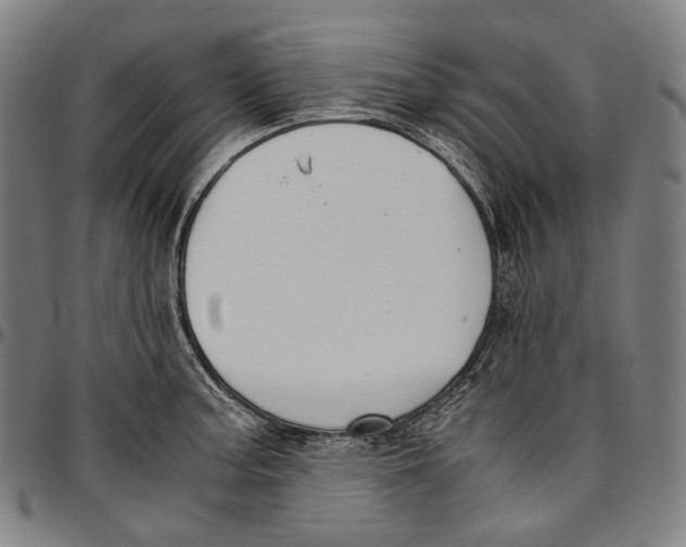 X0000096961187200802291113