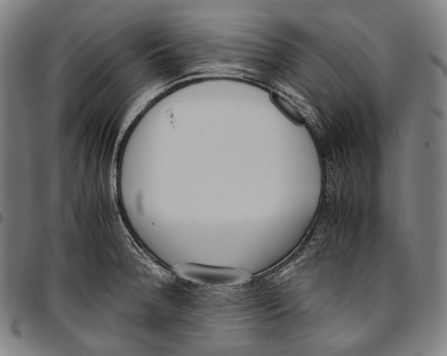 X0000096961188200802291113