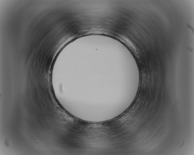 X0000096961190200802291113