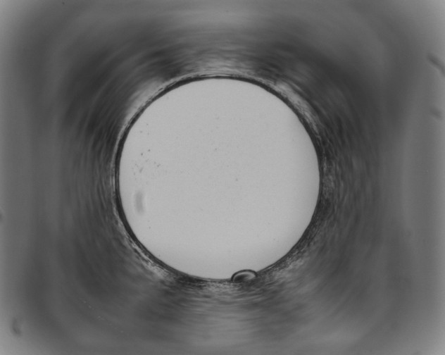 X0000096961191200802291113