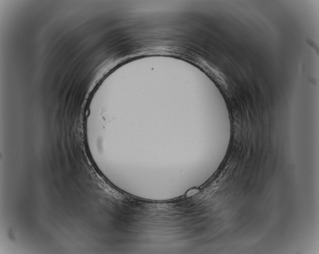 X0000096961192200802291113