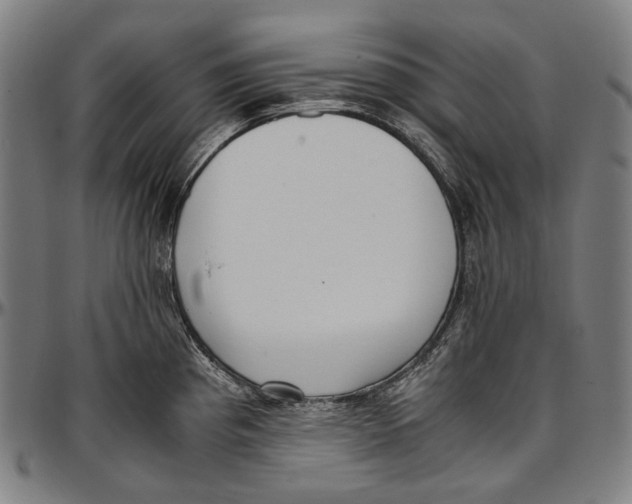 X0000096961193200802291113