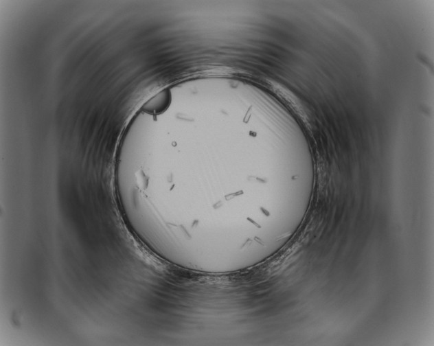 X0000096961194200802291113