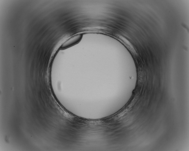 X0000096961196200802291113