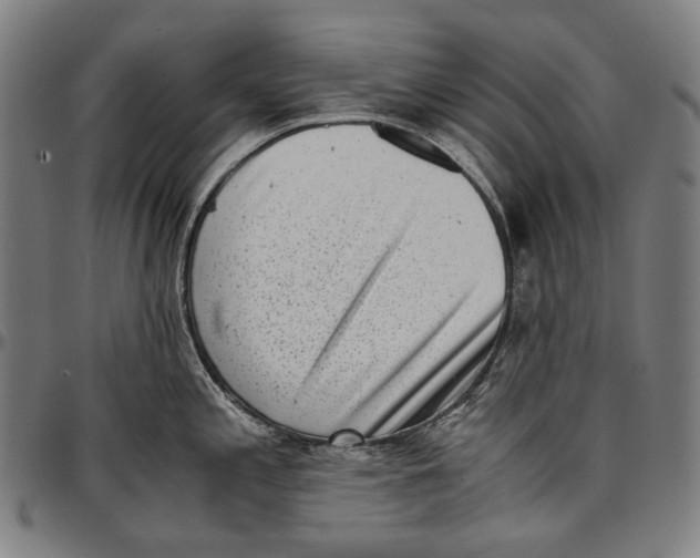 X0000096961197200802291113