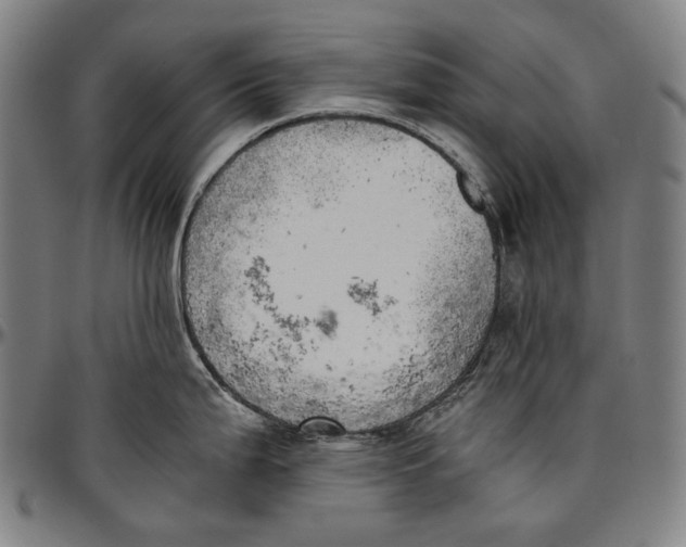 X0000096961199200802291113