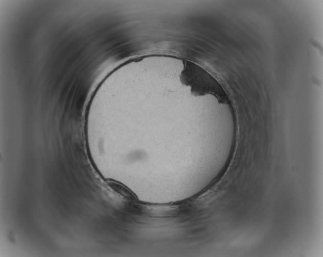 X0000096961200200802291113