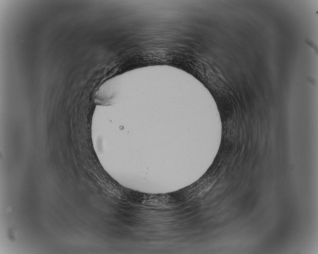 X0000096961201200802291113