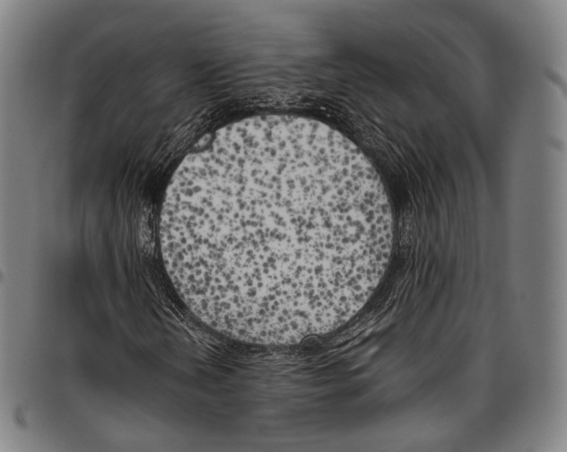 X0000096961202200802291113