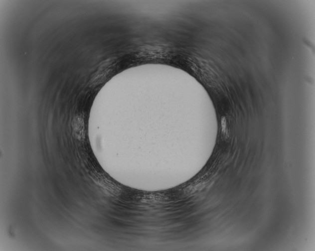 X0000096961203200802291113