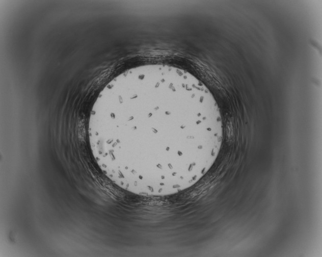 X0000096961204200802291113