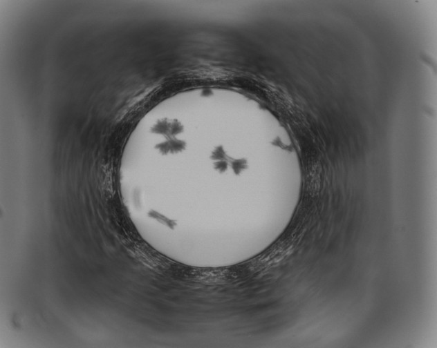 X0000096961205200802291113