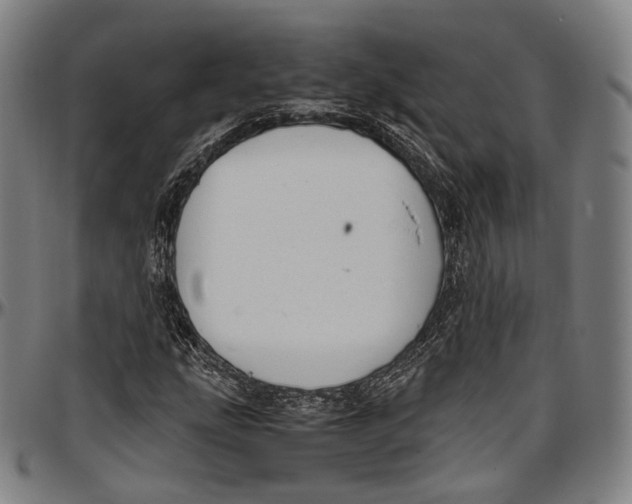 X0000096961207200802291113