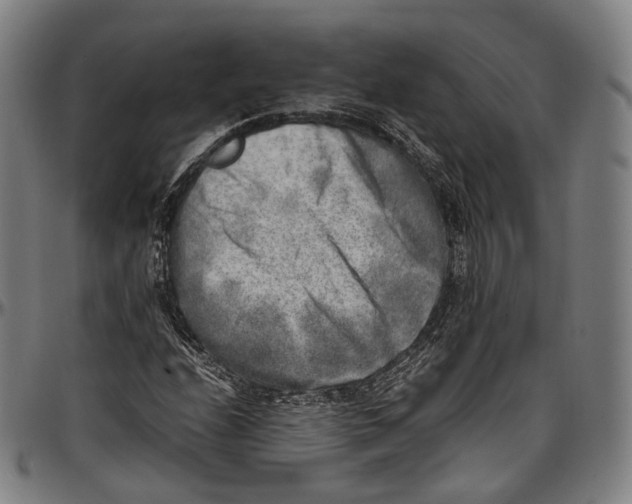 X0000096961208200802291113