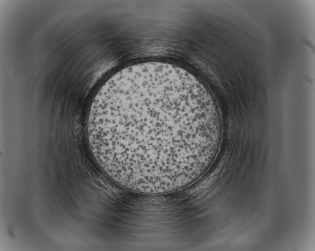 X0000096961210200802291113