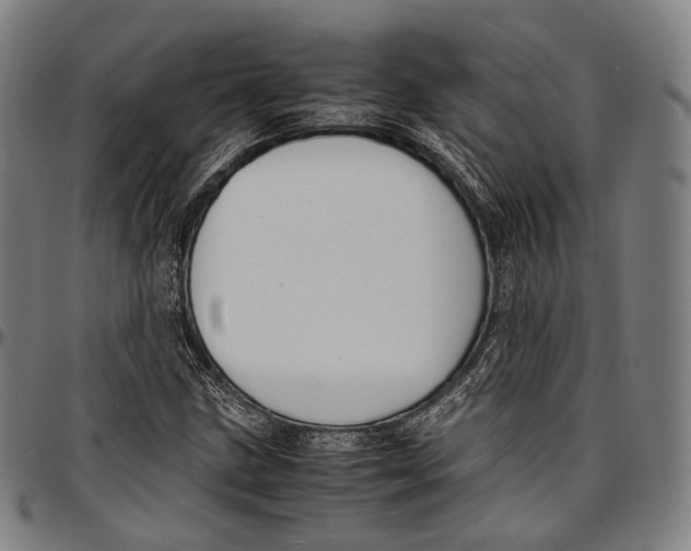 X0000096961211200802291113