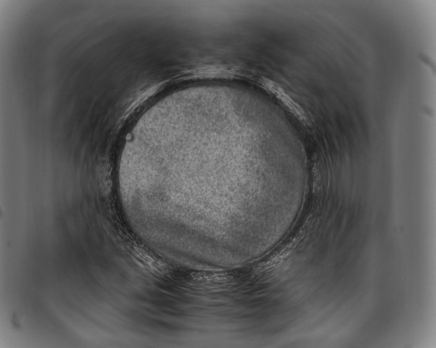 X0000096961213200802291113