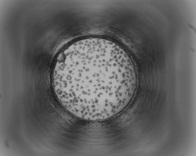 X0000096961214200802291113