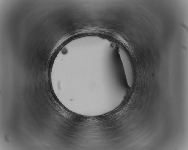 X0000096961216200802291113