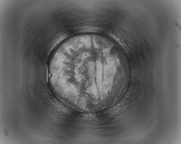 X0000096961219200802291113