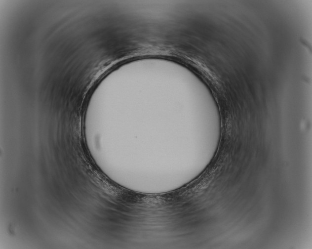 X0000096961220200802291113