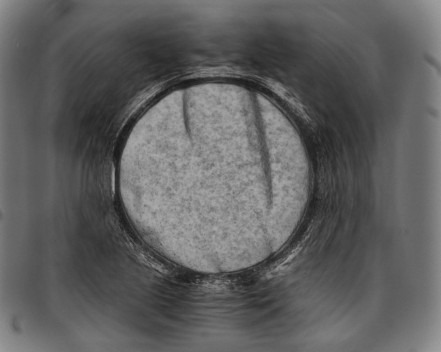 X0000096961221200802291113