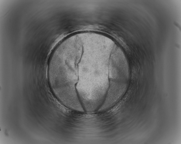 X0000096961224200802291113