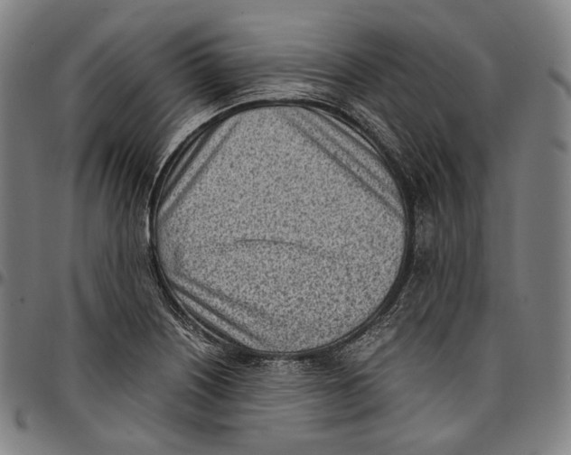 X0000096961226200802291113